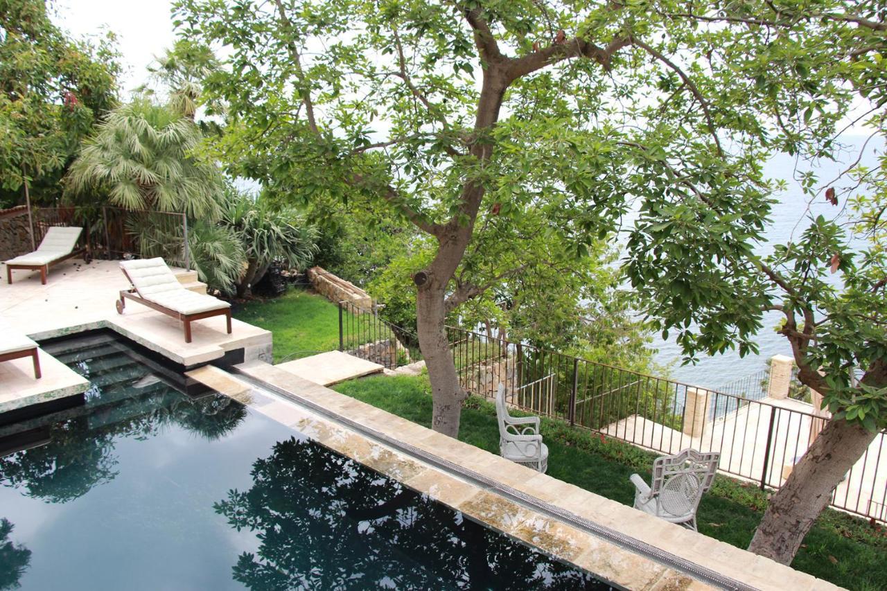 El Jardin Botanico Villa Luz Альтеа Экстерьер фото