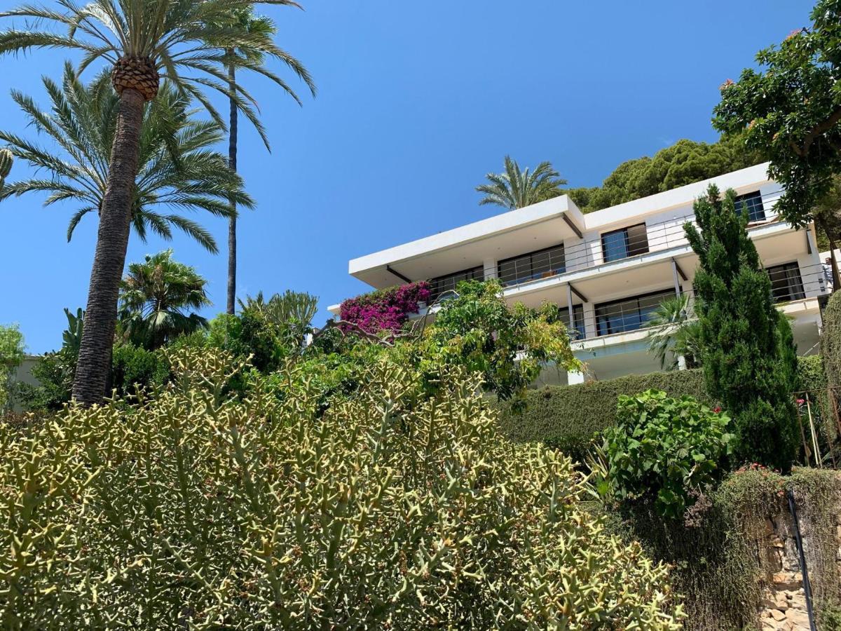 El Jardin Botanico Villa Luz Альтеа Экстерьер фото