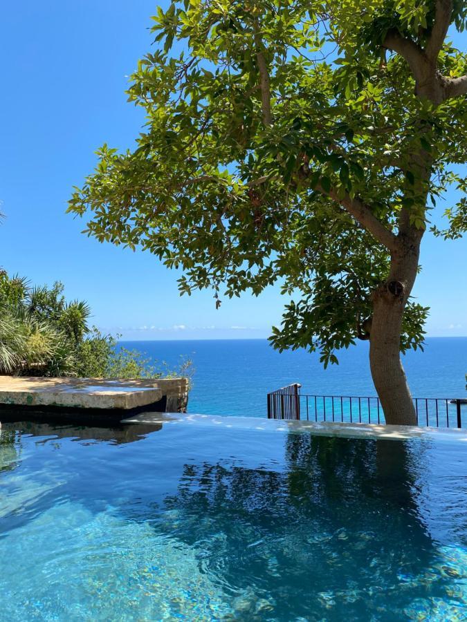 El Jardin Botanico Villa Luz Альтеа Экстерьер фото