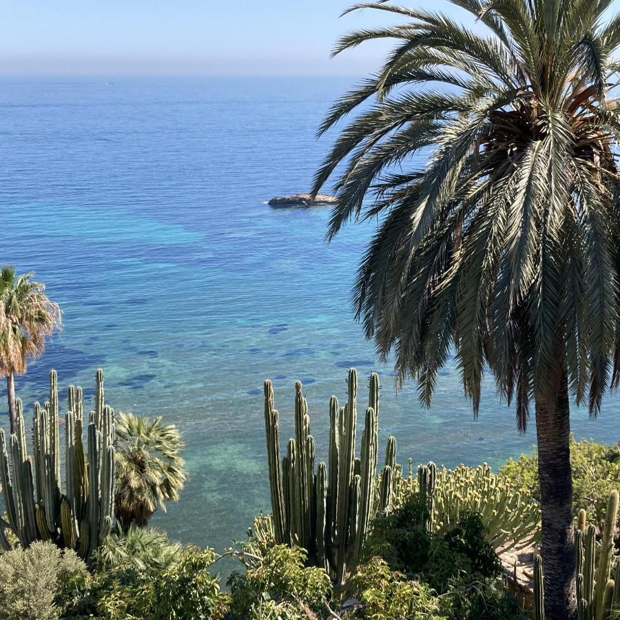 El Jardin Botanico Villa Luz Альтеа Экстерьер фото