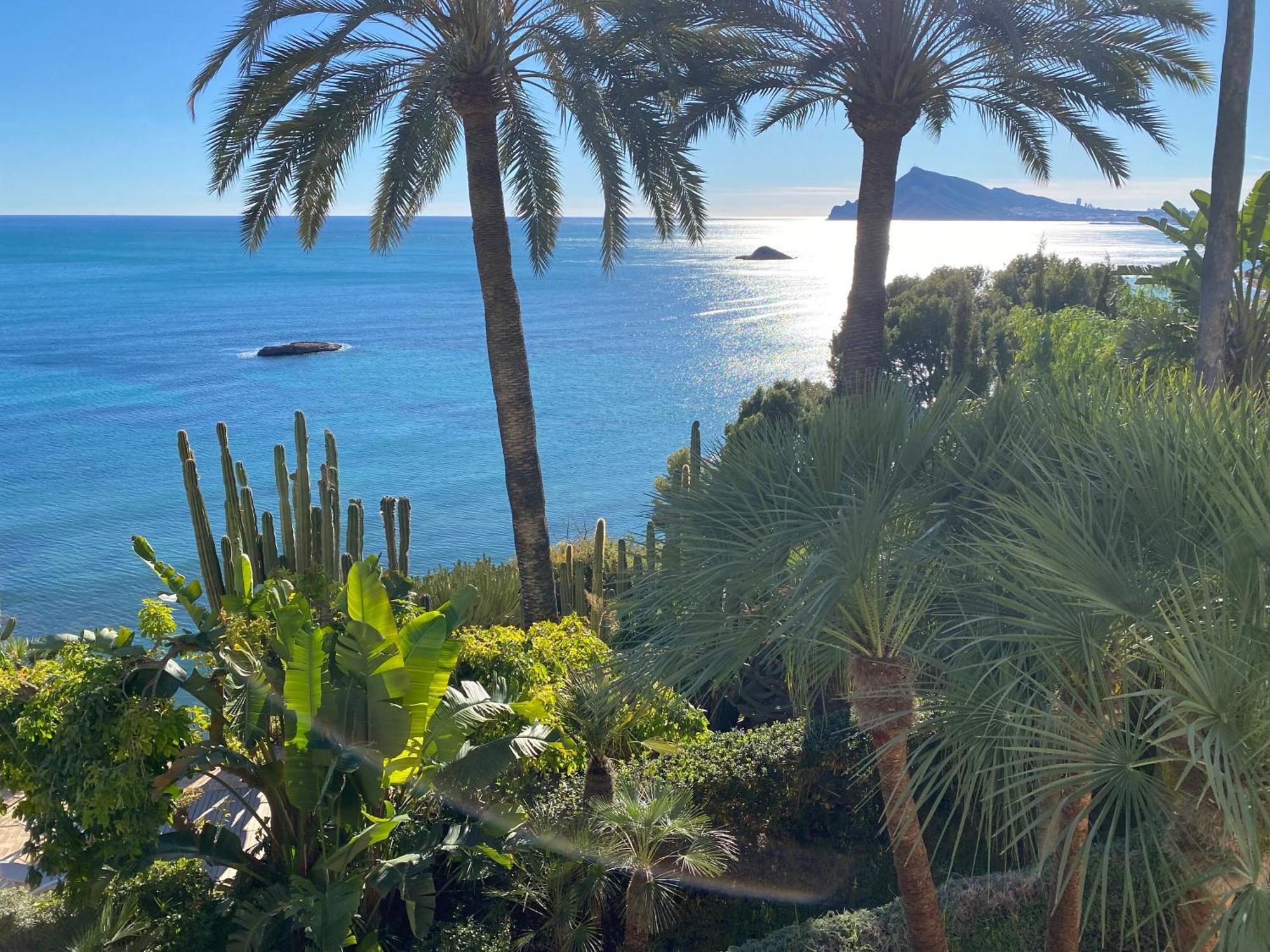 El Jardin Botanico Villa Luz Альтеа Экстерьер фото