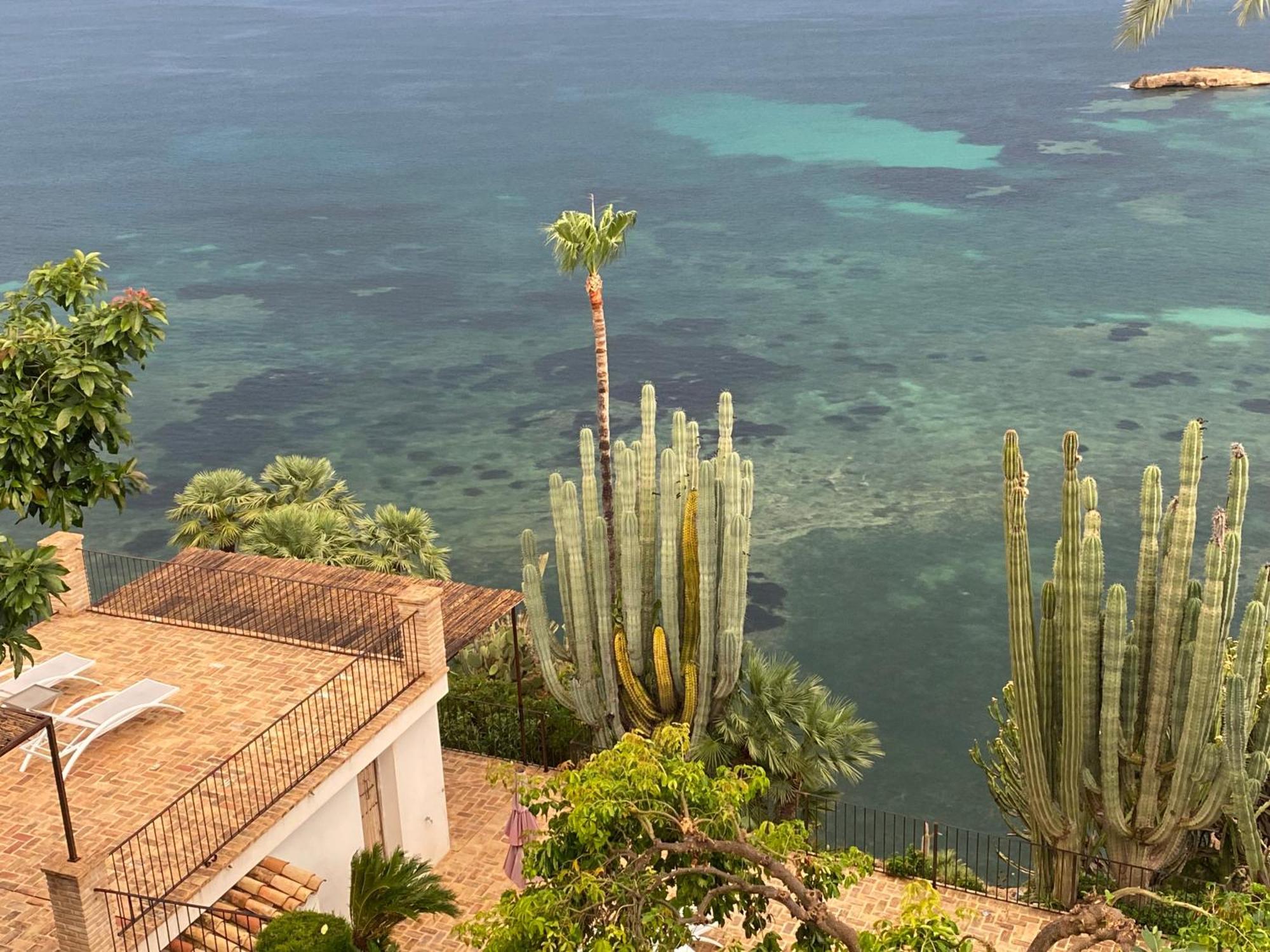 El Jardin Botanico Villa Luz Альтеа Экстерьер фото